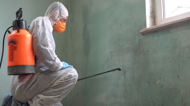 Best Asbestos and Lead Testing During Mold Inspection  in Pacific Grove, CA